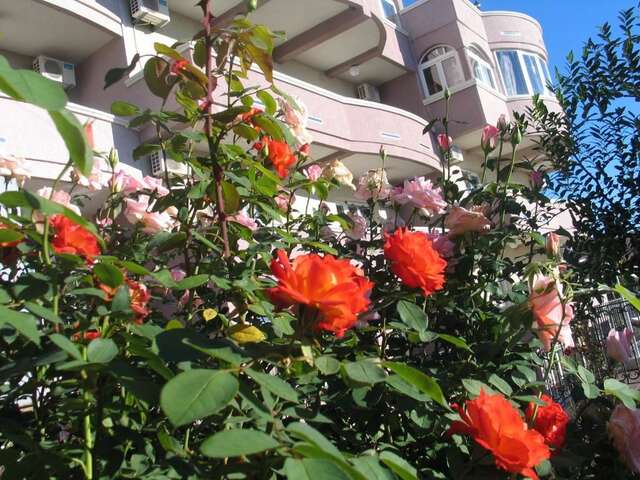 Гостевой дом Accommodation Royal Azur Добра-Вода-81